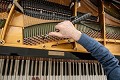 Philadelphia Piano Tuning